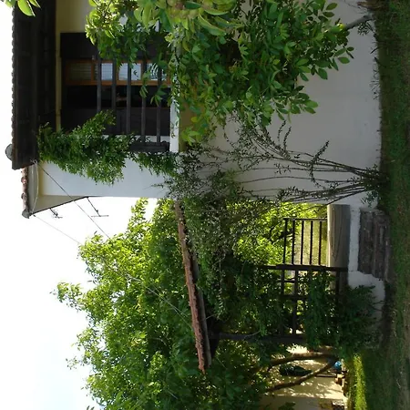 Mina Affittacamere